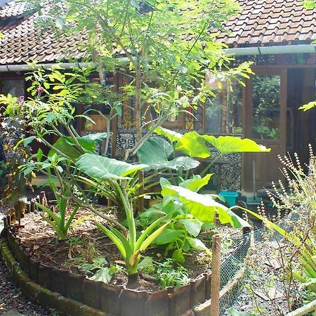 Farmer'S Yard Hostel Canggu Exterior foto