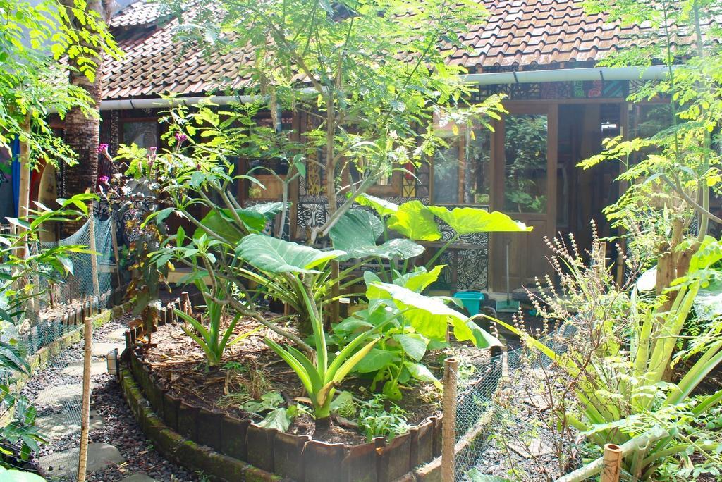 Farmer'S Yard Hostel Canggu Exterior foto